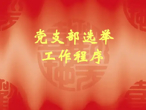 党支部选举工作程序