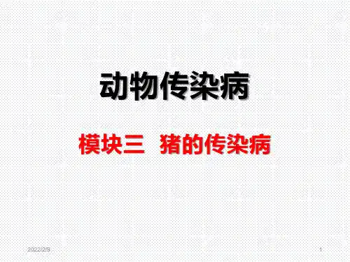 猪的传染病(猪流行性腹泻)