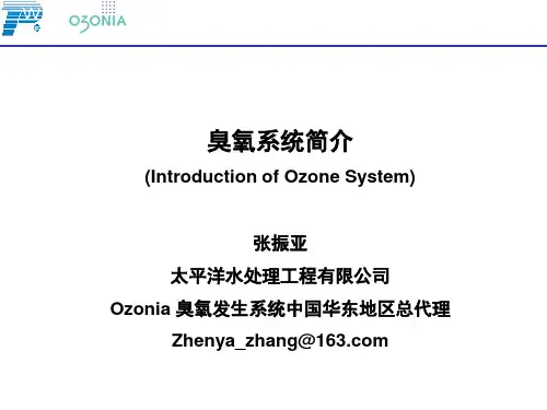中水(脱色)臭氧系统介绍