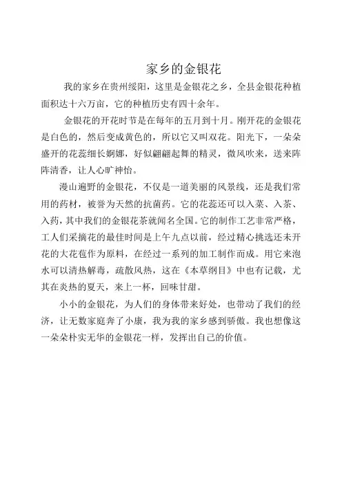 《金银花》小学生市树市花征文