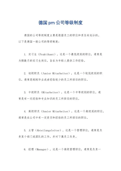 德国pm公司等级制度