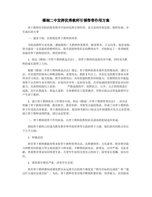 椹涧二中发挥优秀教师引领帮带作用方案