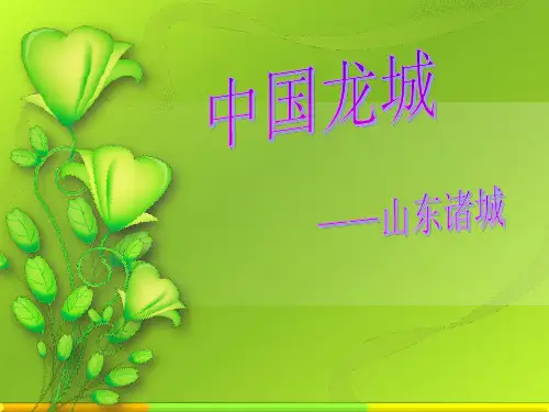 山东诸城