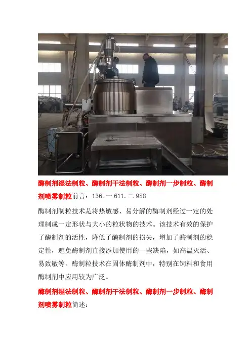 酶制剂制粒技术 湿法制粒、干法制粒、一步制粒、喷雾制粒