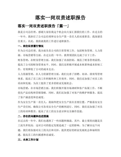 落实一岗双责述职报告