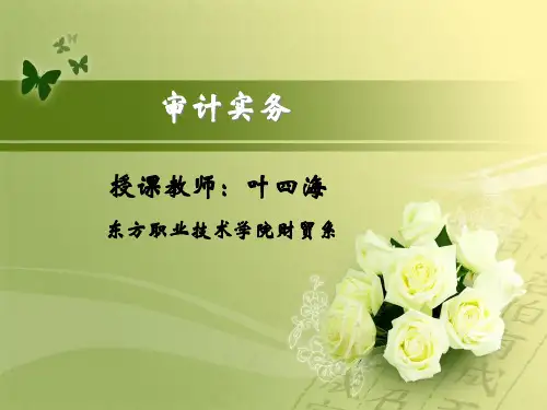 审计实务ppt下载