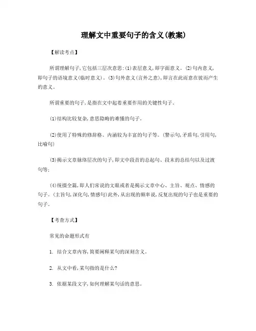 理解文中重点句子的含义(教案)