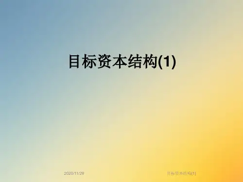 目标资本结构(1)