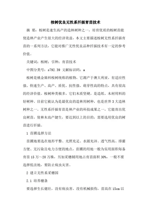 桉树优良无性系扦插育苗技术
