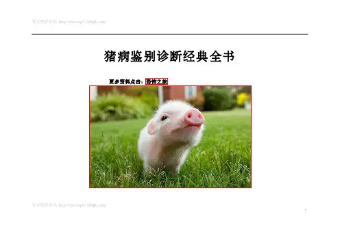 猪病鉴别诊断(经典)