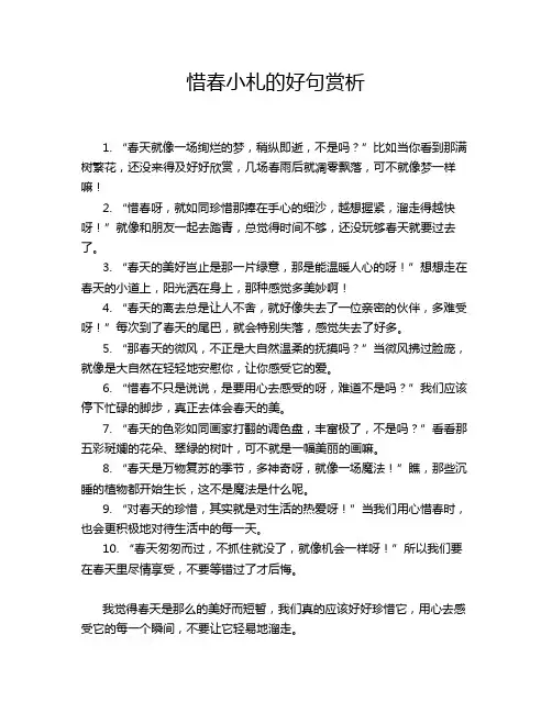惜春小札的好句赏析