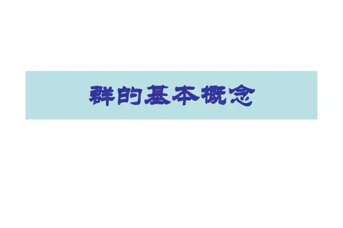 群的基本概念