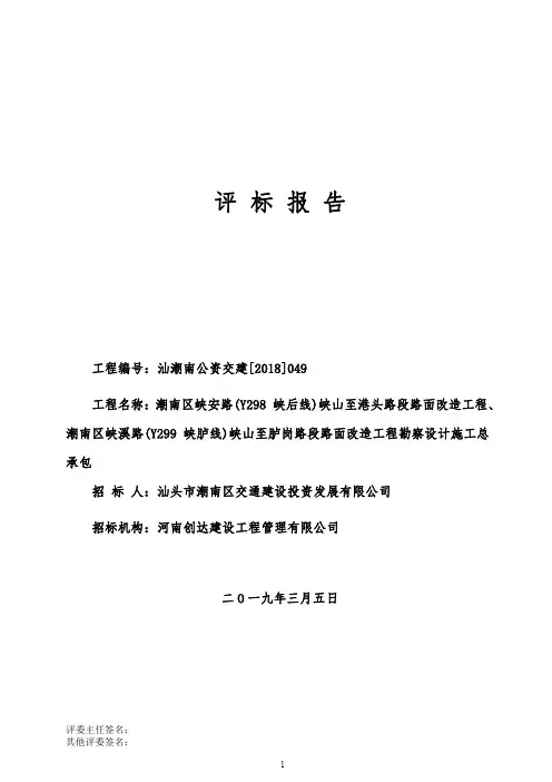 评标报告