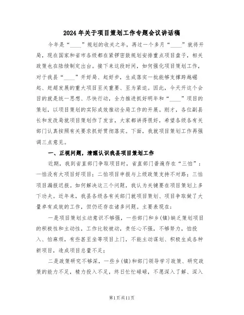 2024年关于项目策划工作专题会议讲话稿(二篇)