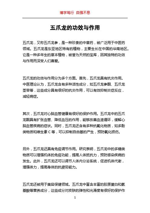 五爪龙的功效与作用