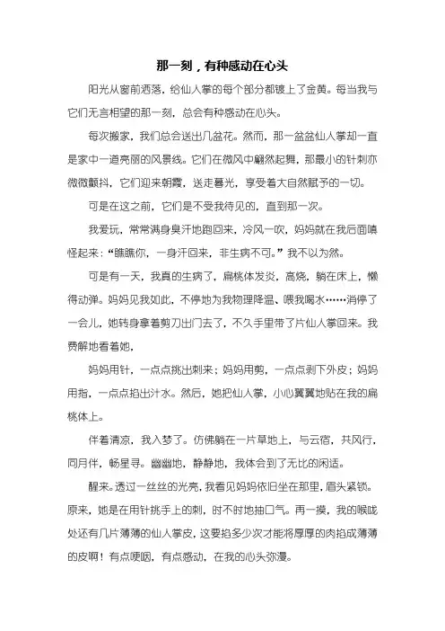 初二作文：那一刻,有种感动在心头作文700字