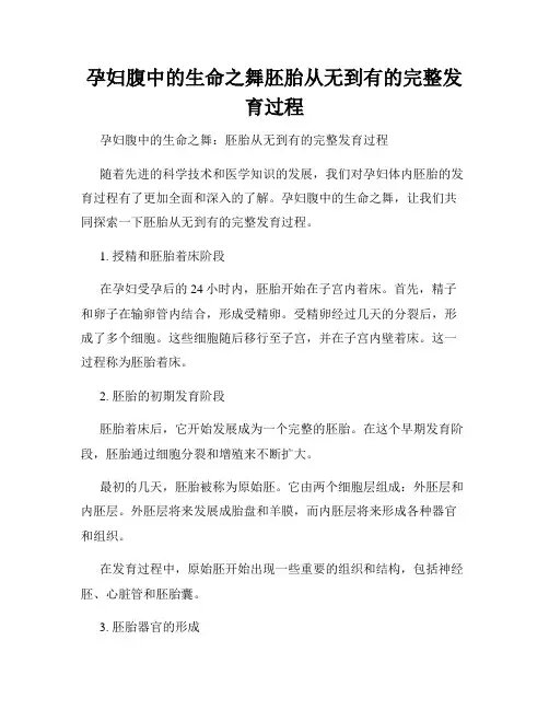 孕妇腹中的生命之舞胚胎从无到有的完整发育过程
