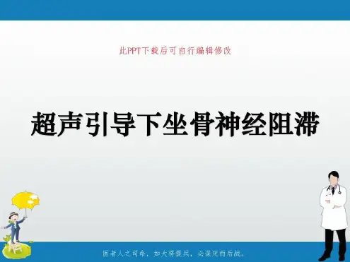 超声引导下坐骨神经阻滞_2022年学习资料