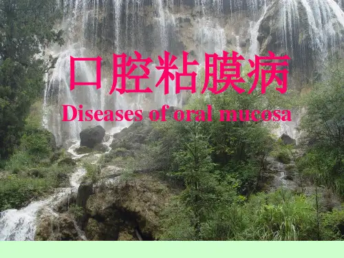 口腔粘膜病病理ppt课件