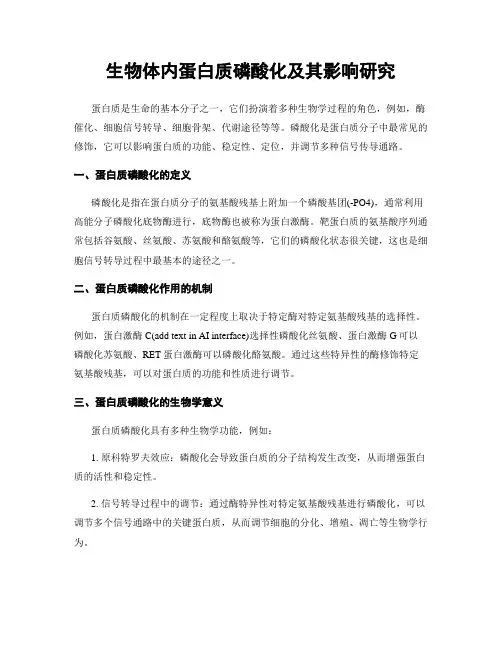 生物体内蛋白质磷酸化及其影响研究