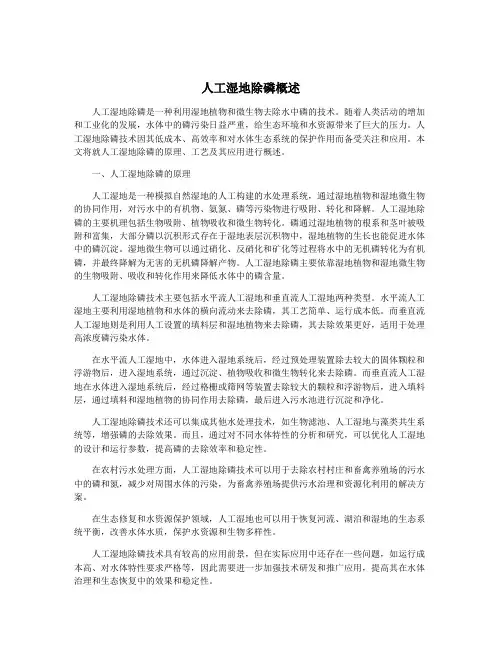 人工湿地除磷概述