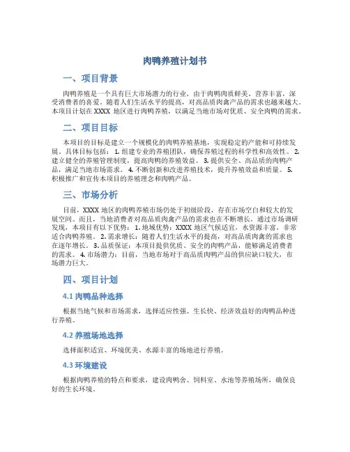 肉鸭养殖计划书