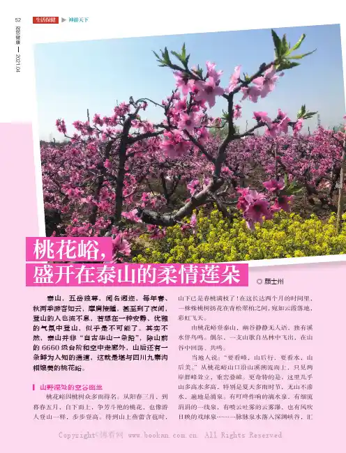 桃花峪，盛开在泰山的柔情莲朵