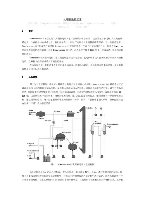大颗粒造粒工艺