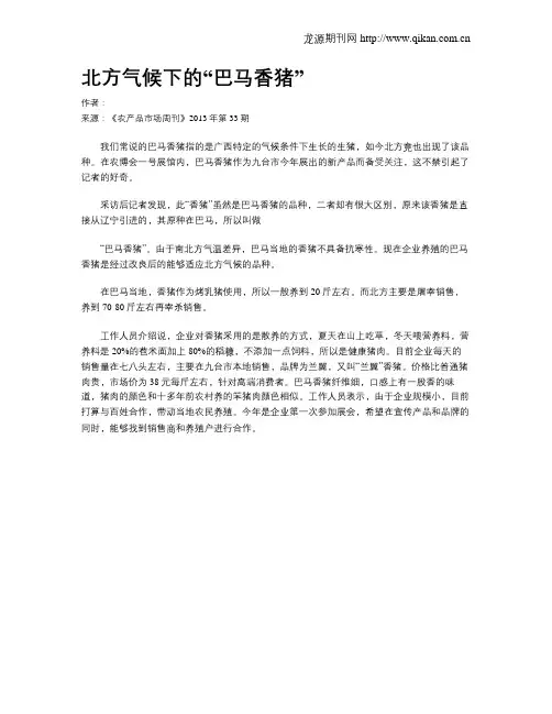 北方气候下的“巴马香猪”