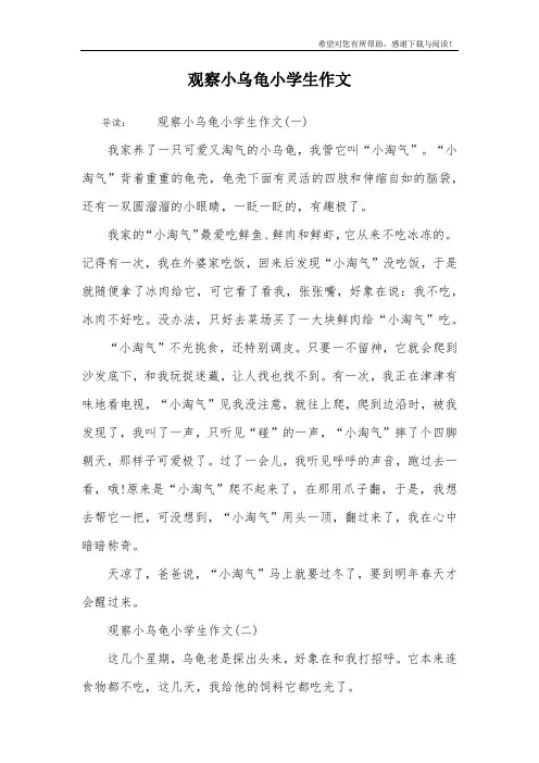 观察小乌龟小学生作文