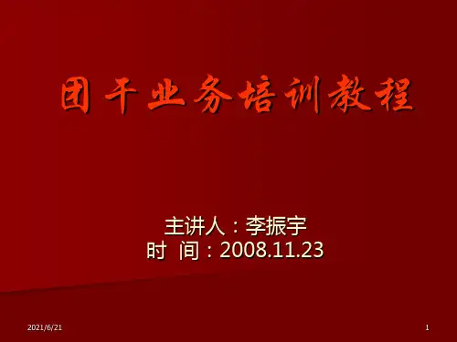 团干部培训.PPT