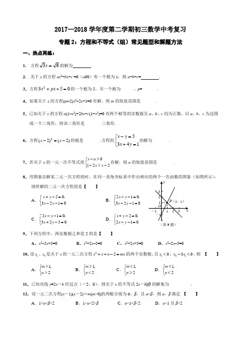 专题2：方程和不等式(组)常见题型和解题方法(终稿)