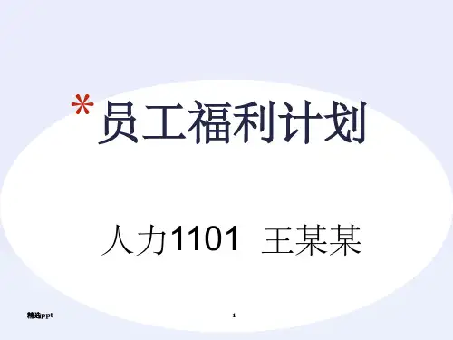 《员工福利计划》PPT课件