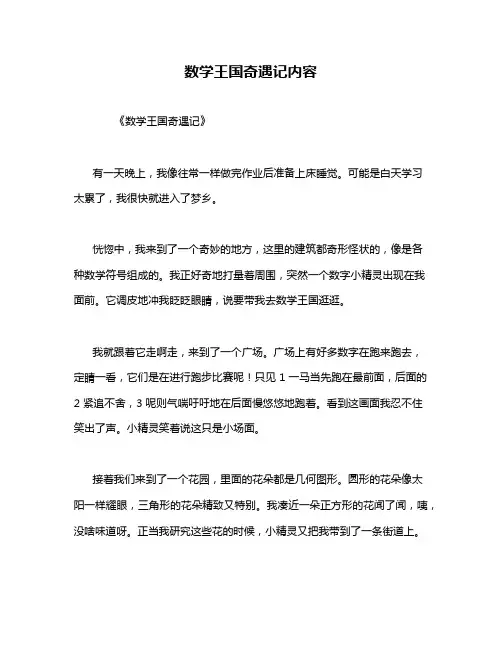 数学王国奇遇记内容