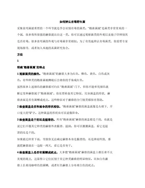 怎么辨认有毒野生菌
