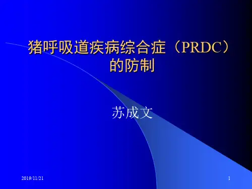 猪呼吸道疾病综合症prdc的防制