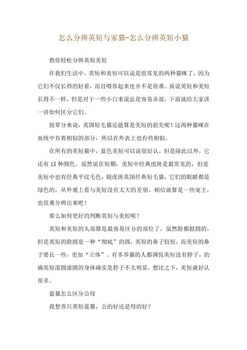怎么分辨英短与家猫-怎么分辨英短小猫