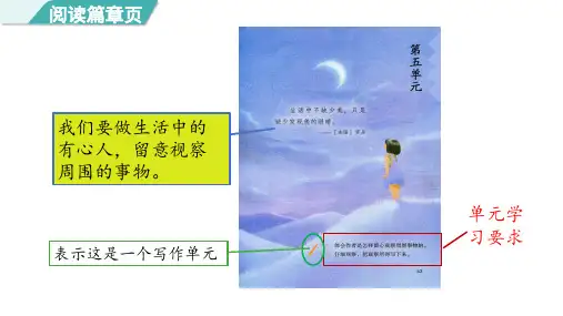 统编版三年级语文上册15.《搭船的鸟》第一课时 课件(共21张PPT)