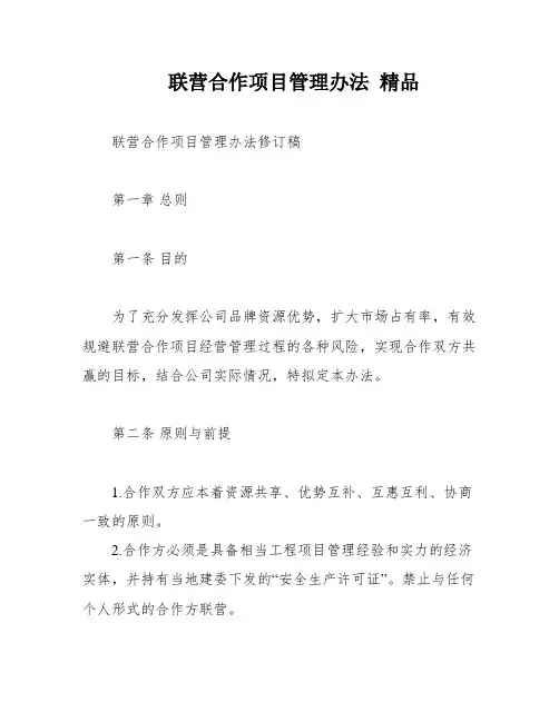 联营合作项目管理办法 精品