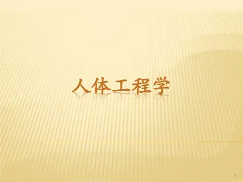 人体工程学第四章人体工程学与空间设计 PPT课件