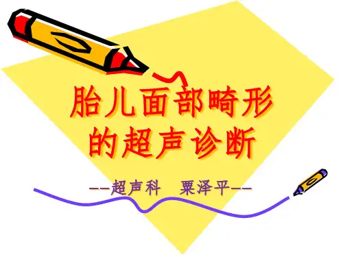 胎儿颜面部畸形的超声诊断2粟泽平