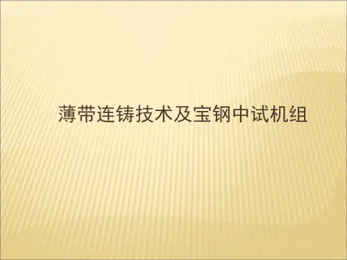 薄带连铸技术及宝钢中试机组