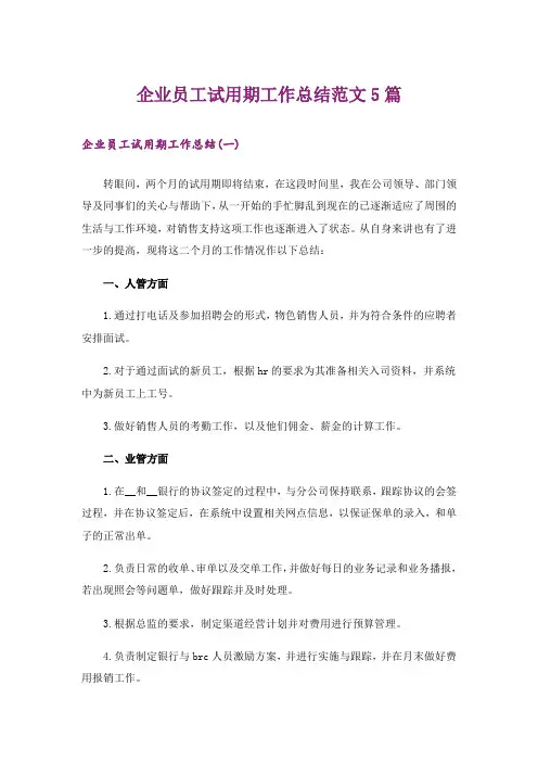 企业员工试用期工作总结范文5篇