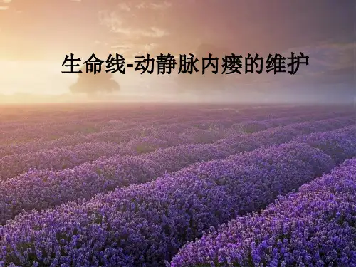动静脉内瘘的维护