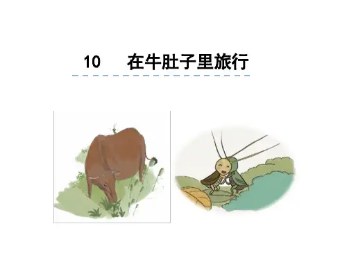 《在牛肚子里旅行》公开课课件