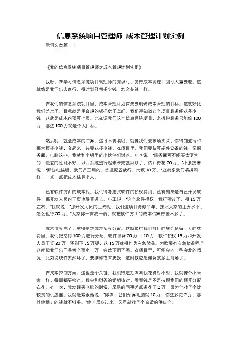 信息系统项目管理师 成本管理计划实例