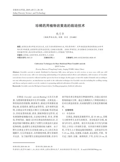 珍稀药用植物岩黄连的栽培技术