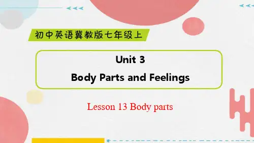冀教版英语七年级上册Unit3 Lesson13  Body parts课件