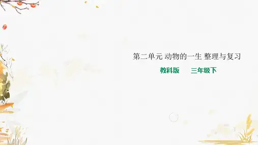 教科版小学科学三年级下册第二单元 动物的一生 单元整理与复习 课件