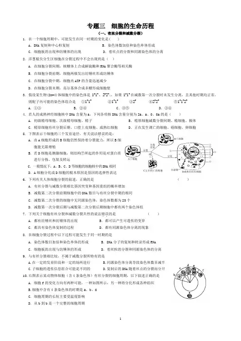 5.细胞的生命历程高三生物二轮复习资料